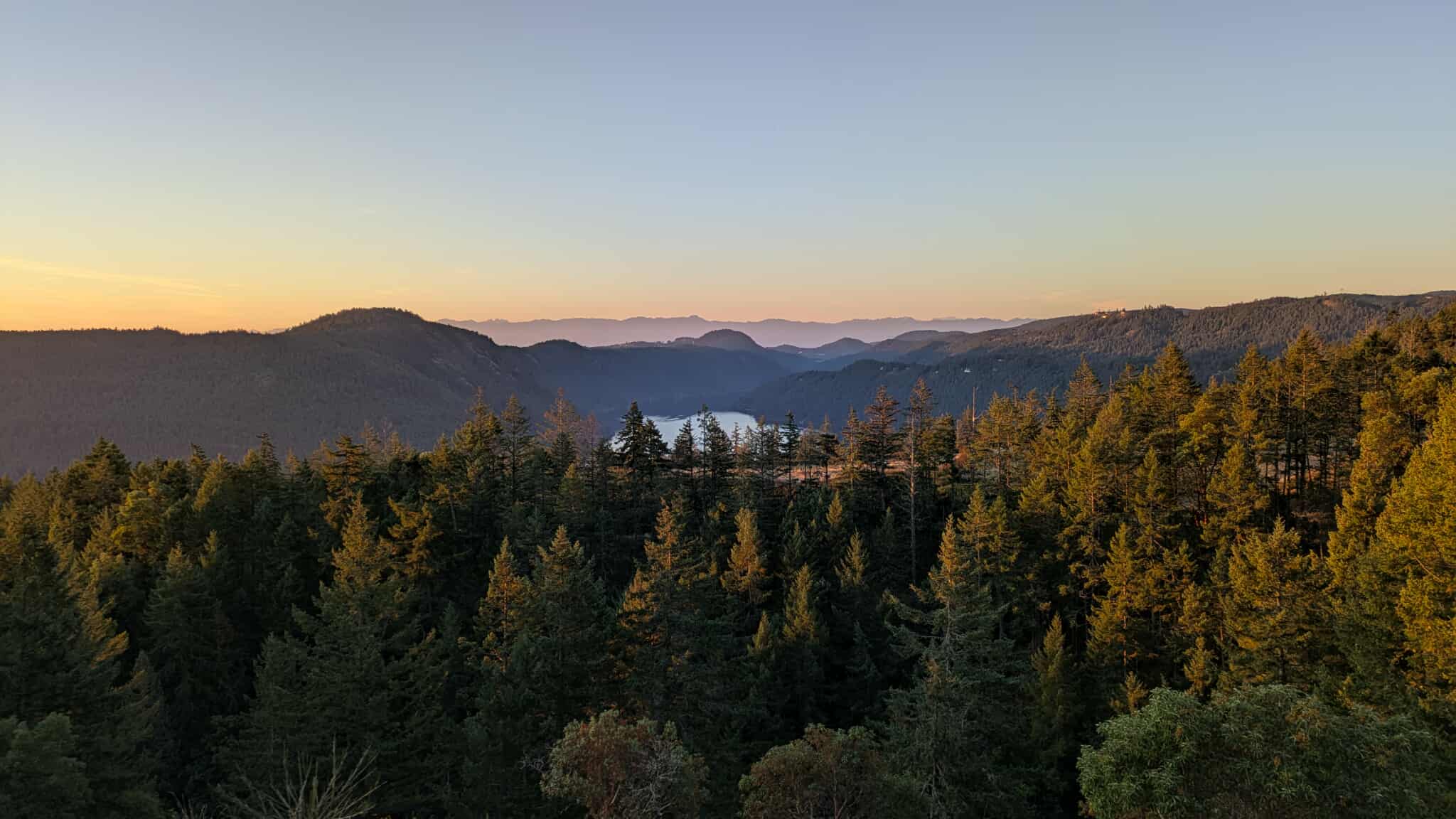 Forest and mountains at golden hour