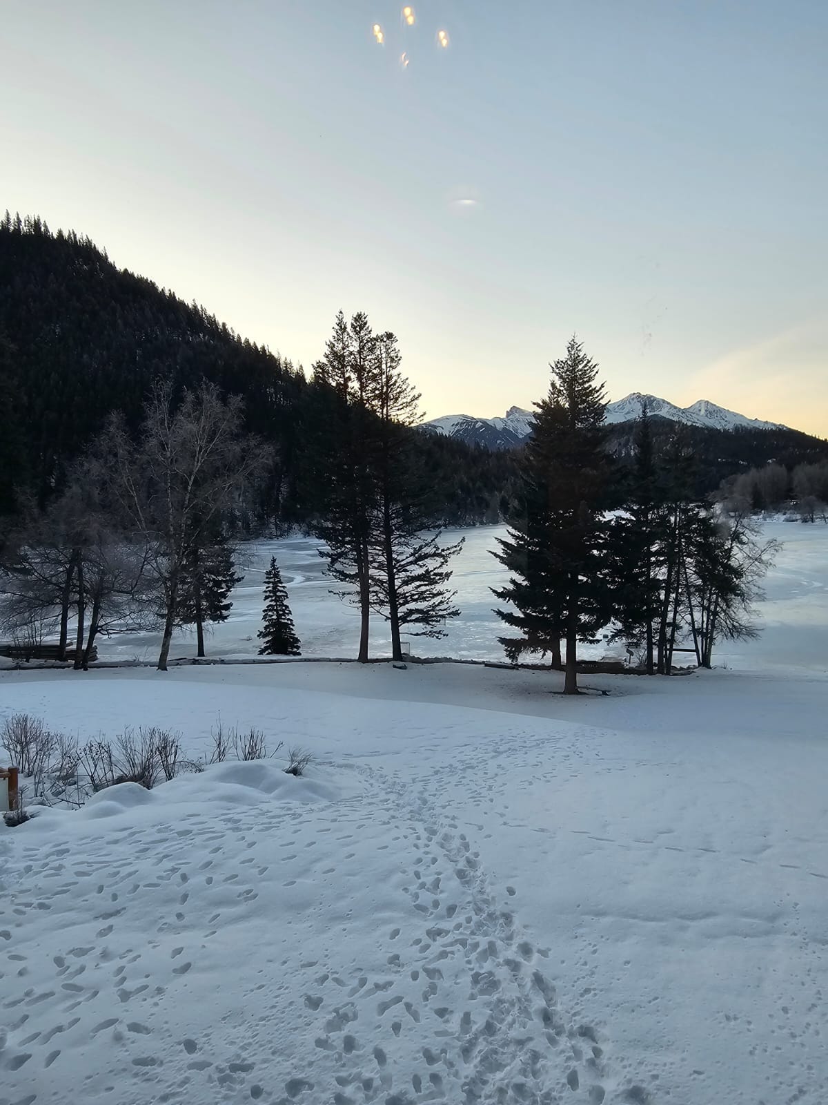 Snow-capped mountains and pine trees